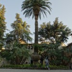 Ascoli Piceno | Ascoli Piceno Antique Market | Ascoli Italy