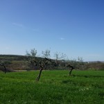 Pianella, Abruzzo, Italy Surrounding Area