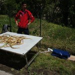 Cocullo | Cocullo Snake Festival | Cocullo Serpari San Domenic Cocullo | Cocullo Snake Festival | Cocullo Serpari San Domenic