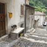 Tagliacozzo Tagliacozzo